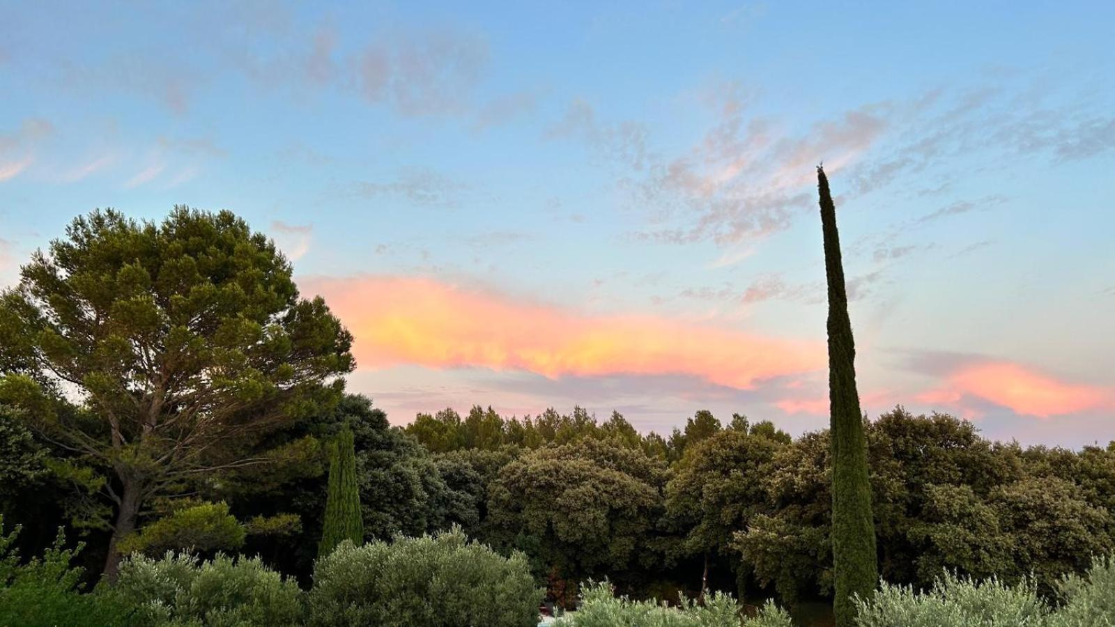 מלון Pujaut Domaine Colibri En Provence מראה חיצוני תמונה